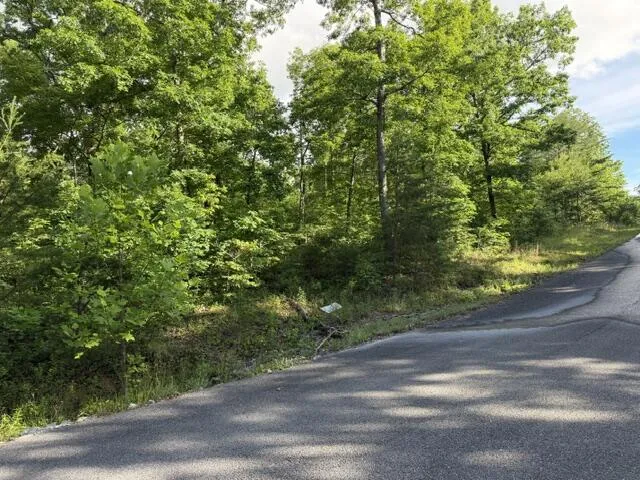 196 Big Bluff View Pikeville, TN 37367