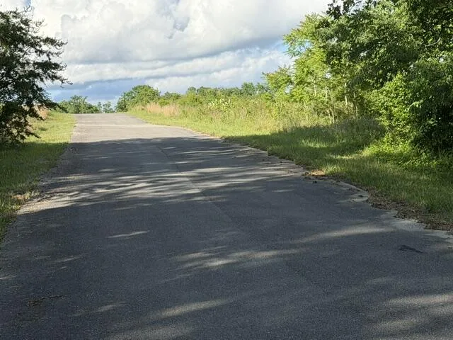196 Big Bluff View Pikeville, TN 37367