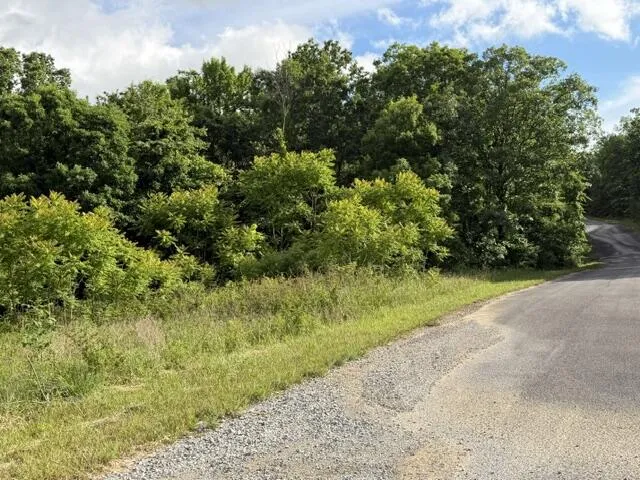 196 Big Bluff View Pikeville, TN 37367