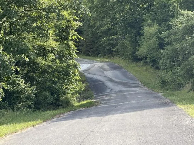 196 Big Bluff View Pikeville, TN 37367