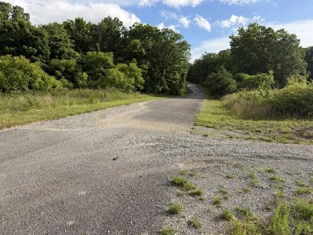 196 Big Bluff View Pikeville, TN 37367