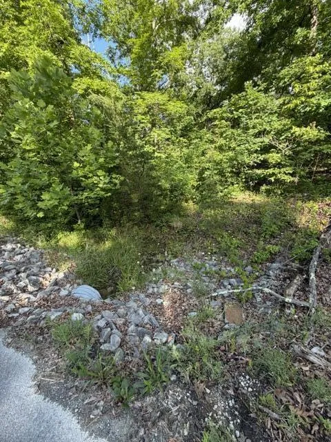 196 Big Bluff View Pikeville, TN 37367