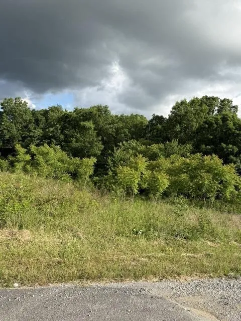 196 Big Bluff View Pikeville, TN 37367