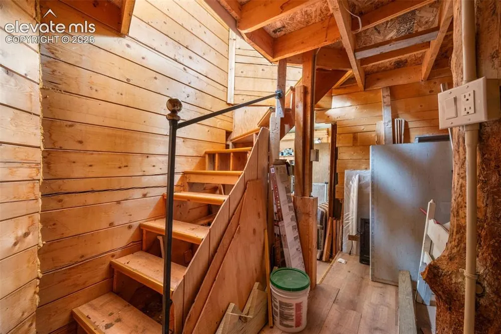 2030 Puma Hills Road Lake George, CO 80827