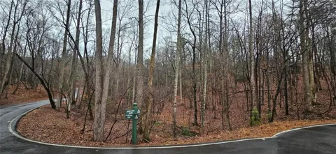 52 Fallen Deer Path