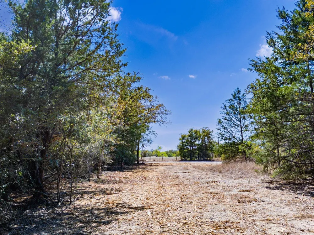 12345 County Road 414 Somerville, TX 77879