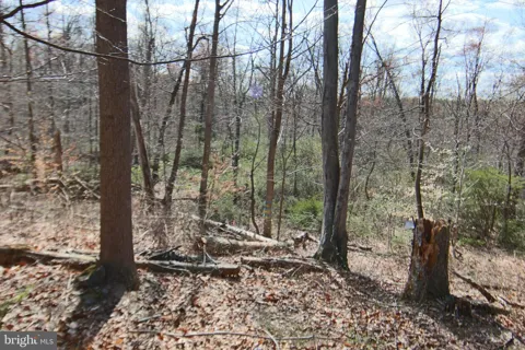 0 S FORGE ROAD