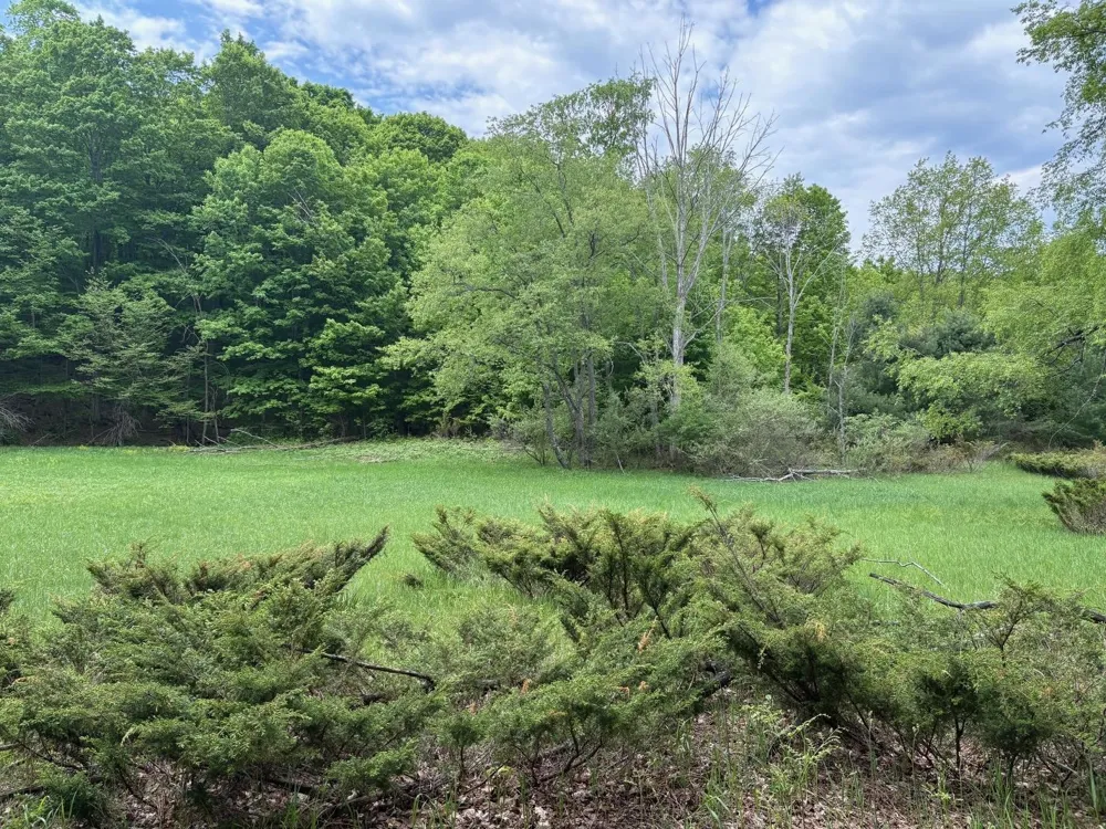 13631 S Beaver Pond Road Empire Township, MI 49630