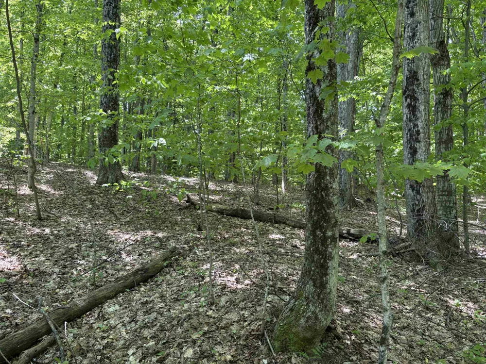 13631 S Beaver Pond Road Empire Township, MI 49630