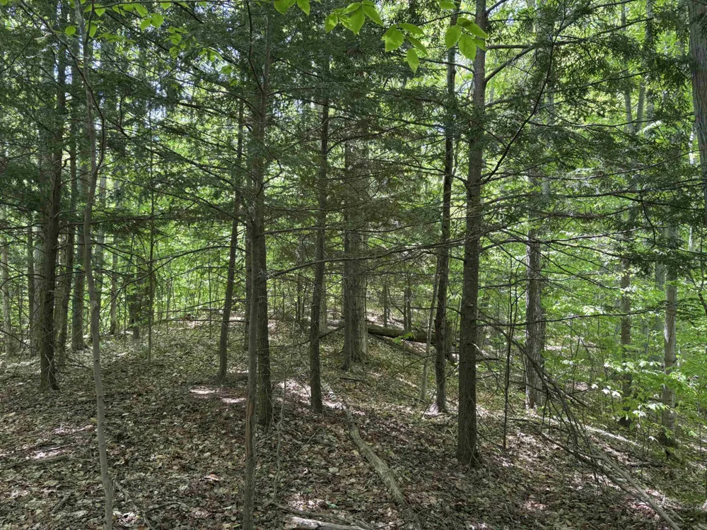 13631 S Beaver Pond Road Empire Township, MI 49630