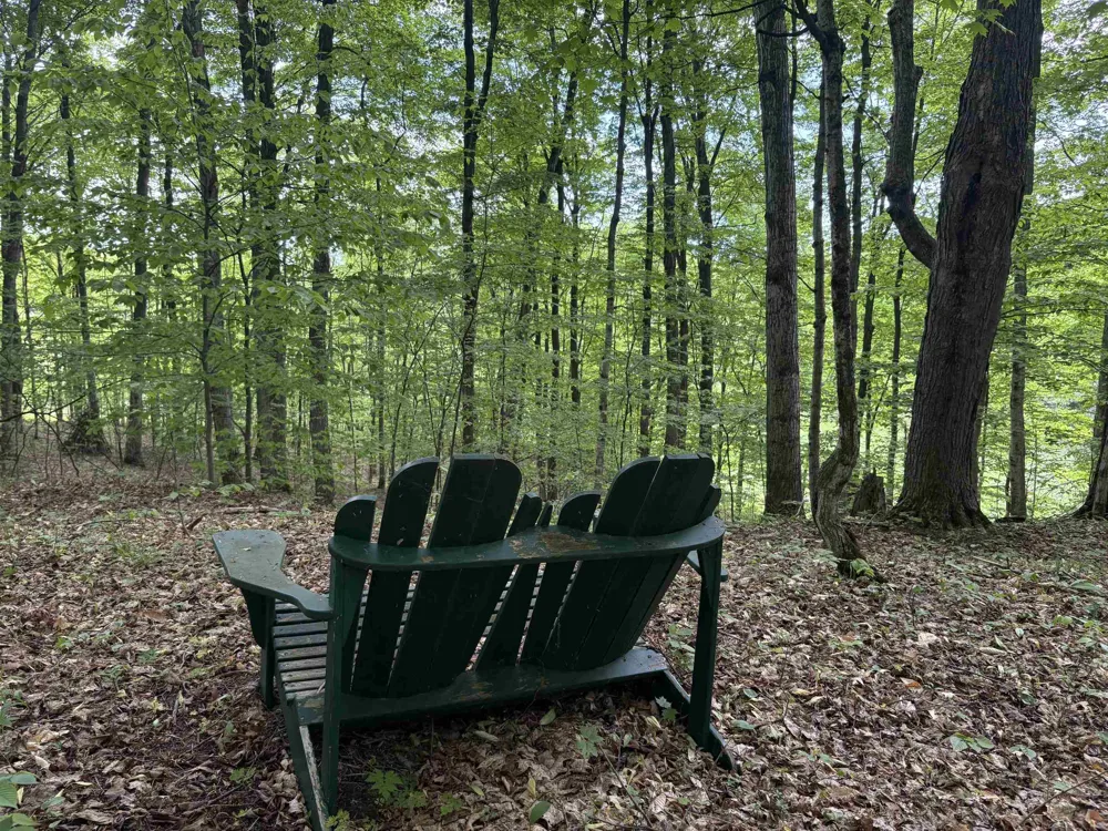 13631 S Beaver Pond Road Empire Township, MI 49630