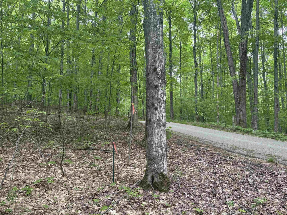 13631 S Beaver Pond Road Empire Township, MI 49630