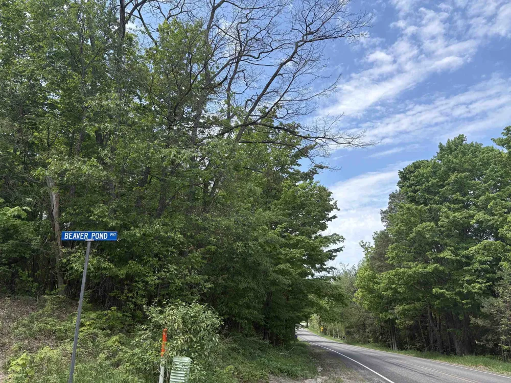 13631 S Beaver Pond Road Empire Township, MI 49630