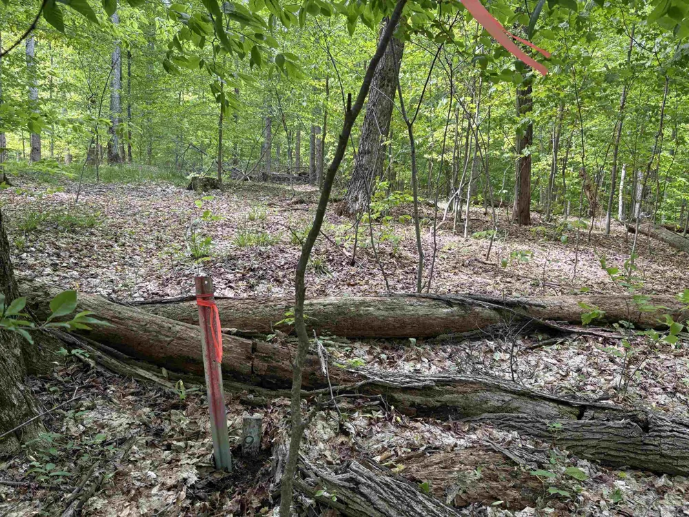 13631 S Beaver Pond Road Empire Township, MI 49630