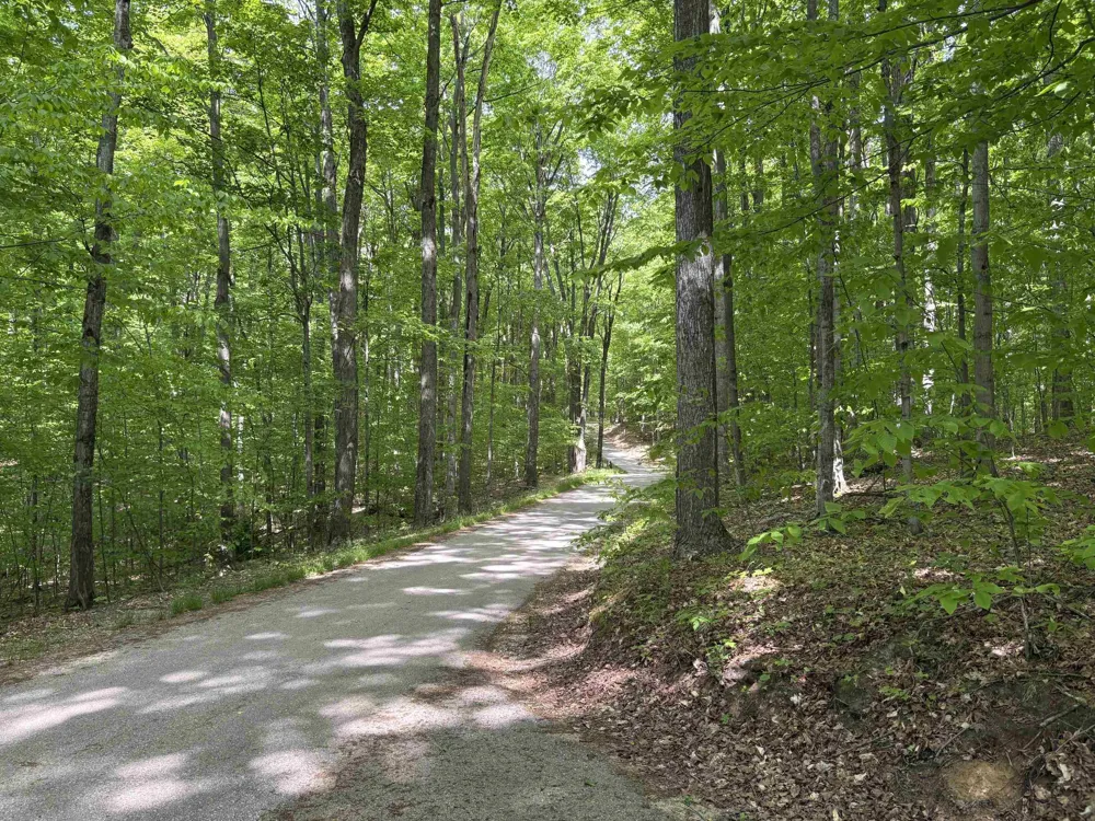 13631 S Beaver Pond Road Empire Township, MI 49630