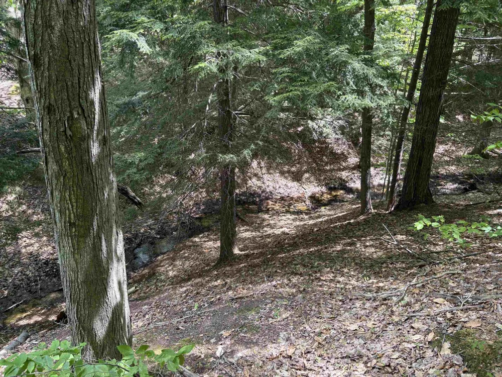 13631 S Beaver Pond Road Empire Township, MI 49630