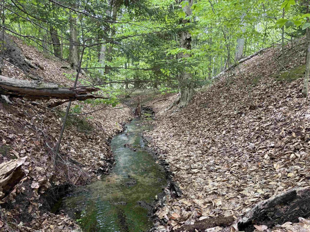 13631 S Beaver Pond Road Empire Township, MI 49630