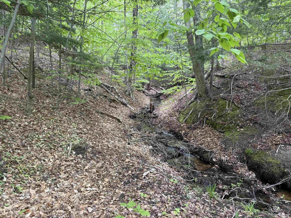 13631 S Beaver Pond Road Empire Township, MI 49630