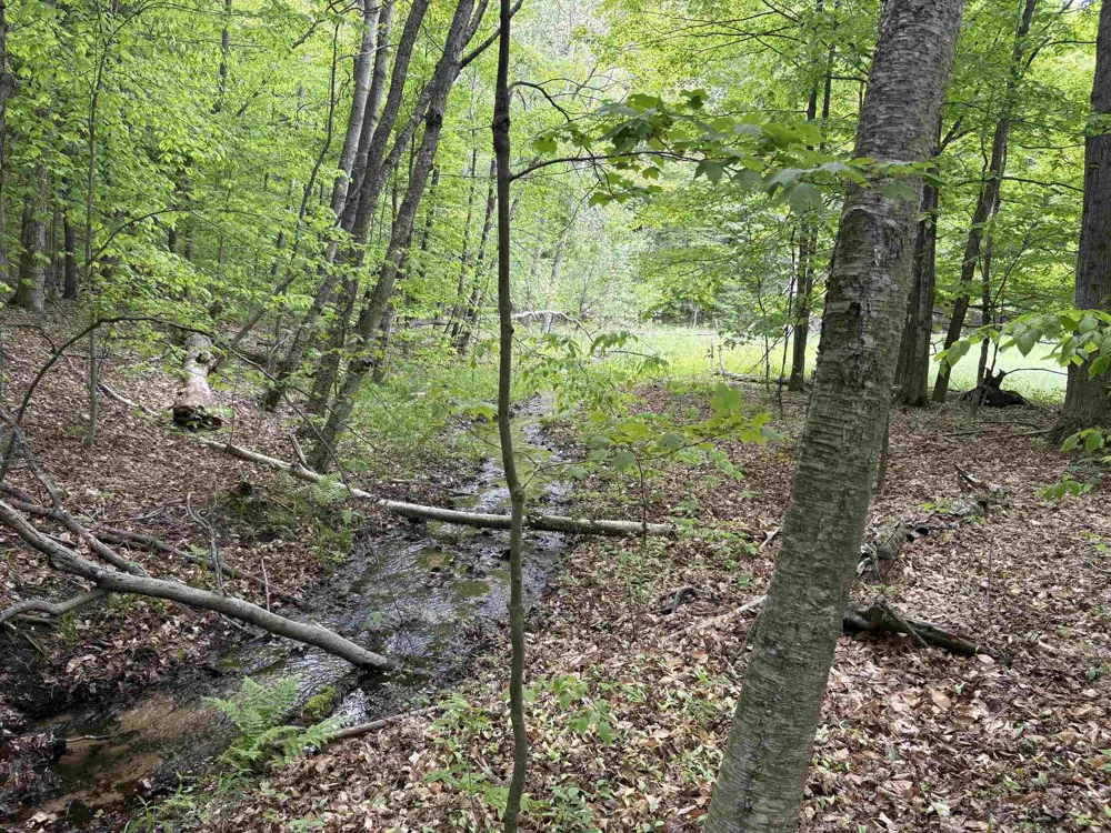 13631 S Beaver Pond Road Empire Township, MI 49630