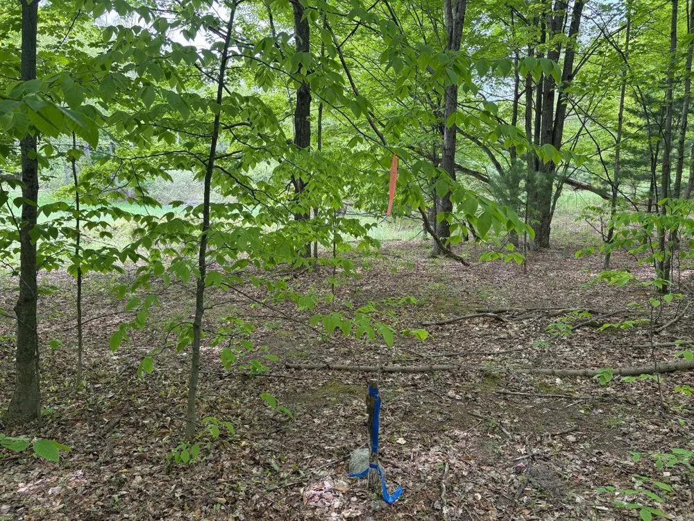 13631 S Beaver Pond Road Empire Township, MI 49630