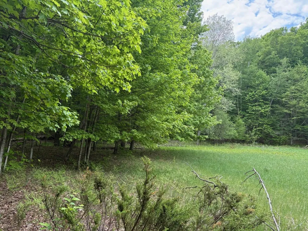 13631 S Beaver Pond Road Empire Township, MI 49630