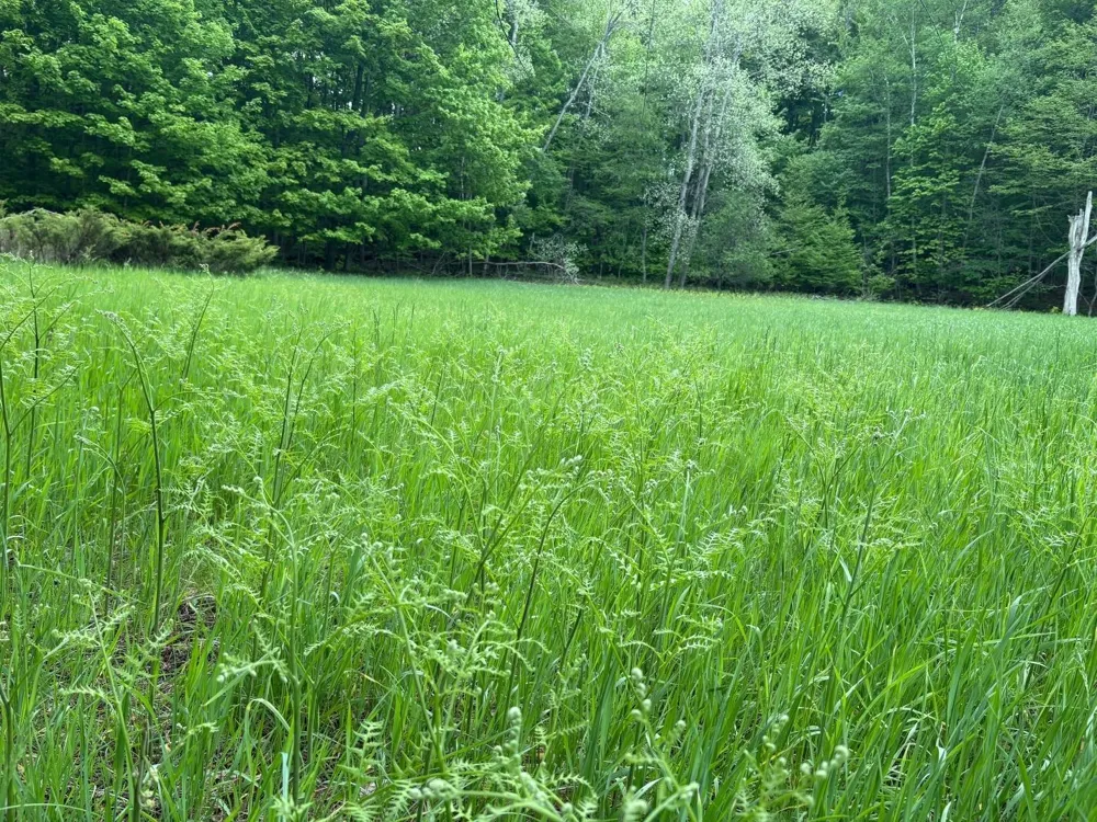 13631 S Beaver Pond Road Empire Township, MI 49630