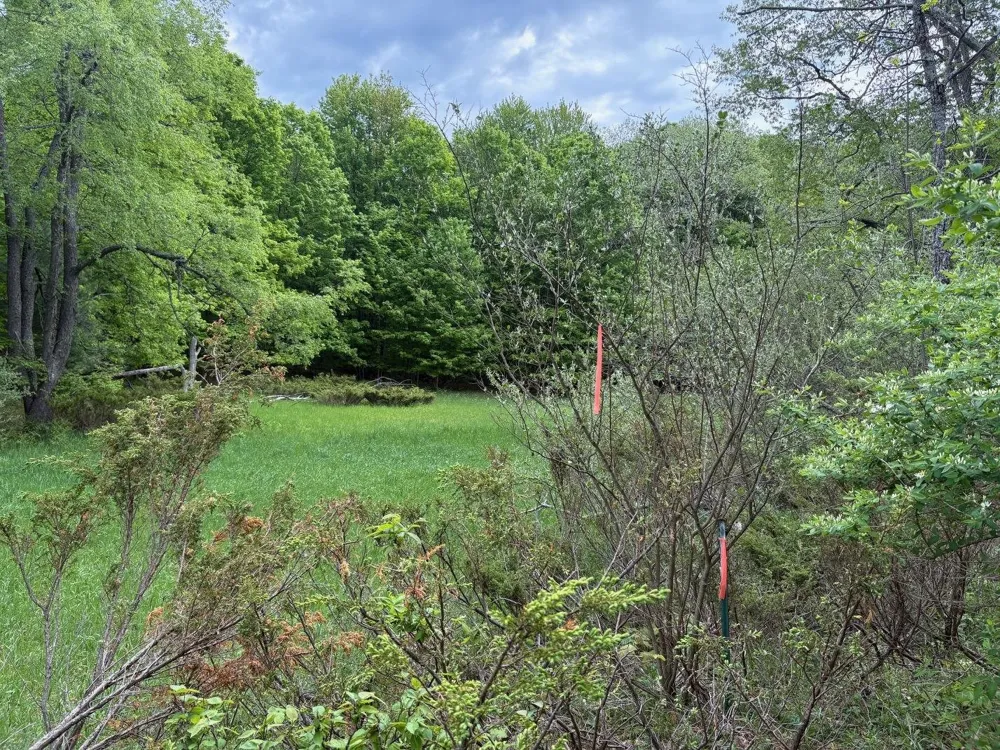 13631 S Beaver Pond Road Empire Township, MI 49630