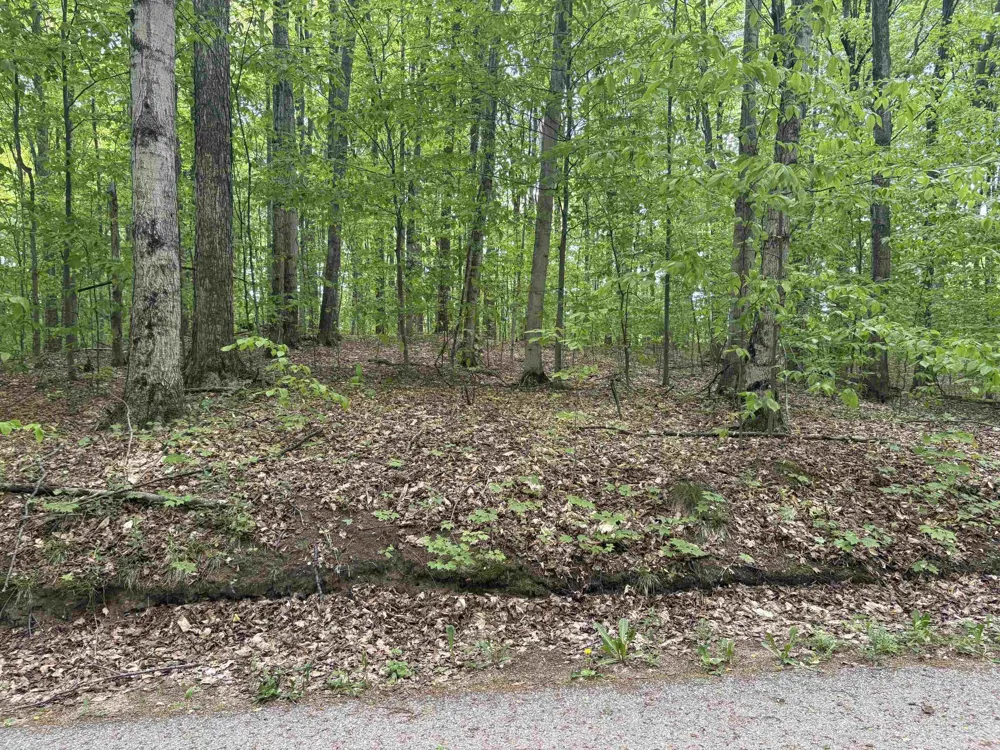 13631 S Beaver Pond Road Empire Township, MI 49630