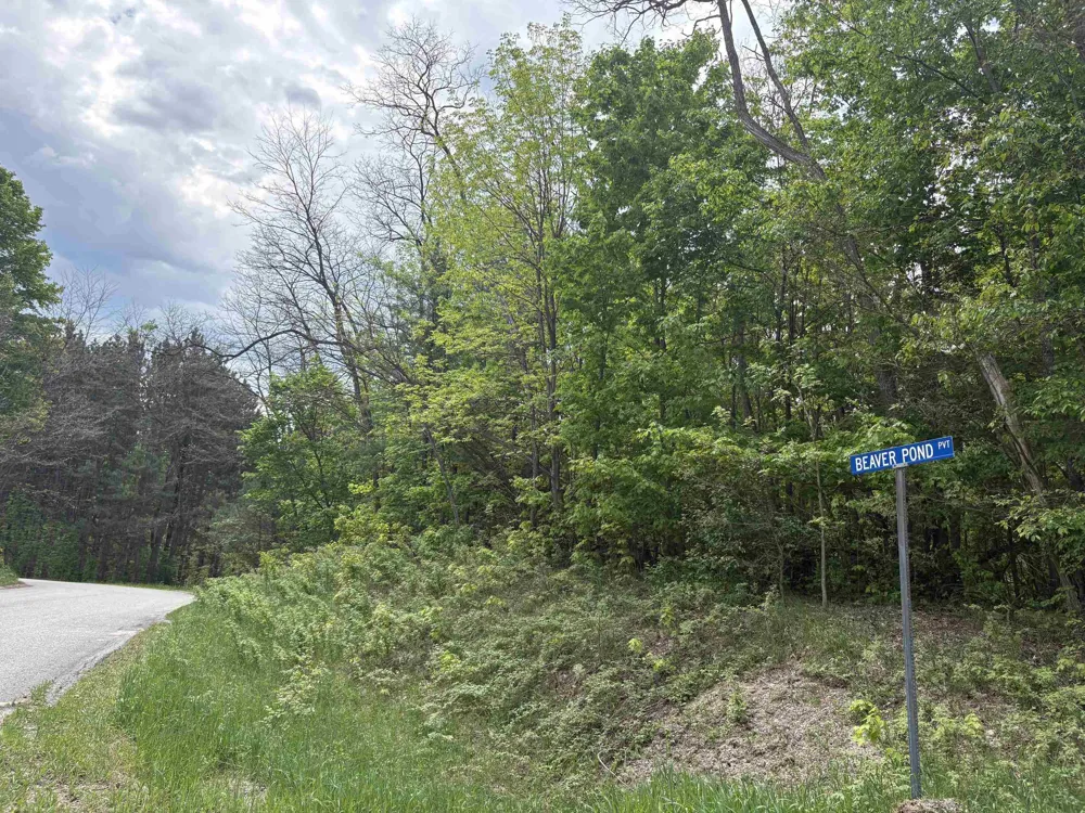 13631 S Beaver Pond Road Empire Township, MI 49630