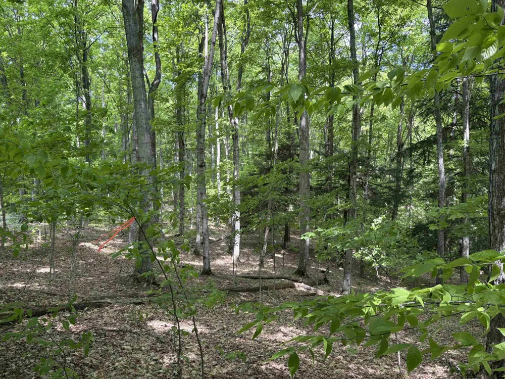 13631 S Beaver Pond Road Empire Township, MI 49630