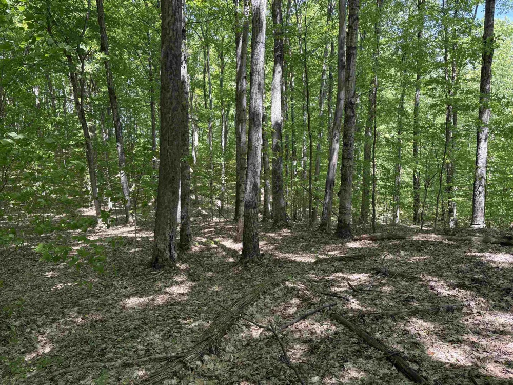 13631 S Beaver Pond Road Empire Township, MI 49630