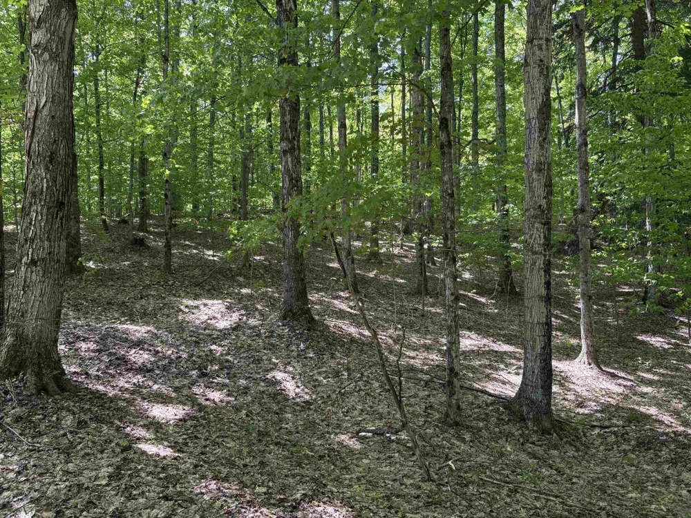 13631 S Beaver Pond Road Empire Township, MI 49630