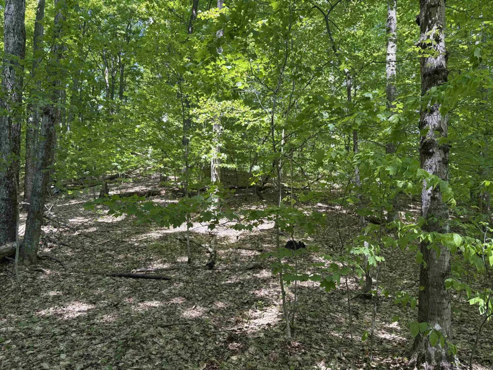 13631 S Beaver Pond Road Empire Township, MI 49630