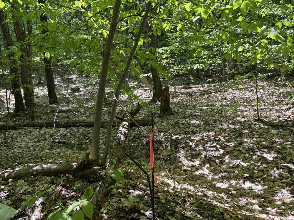 13631 S Beaver Pond Road Empire Township, MI 49630