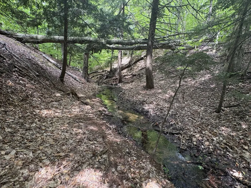 13631 S Beaver Pond Road Empire Township, MI 49630