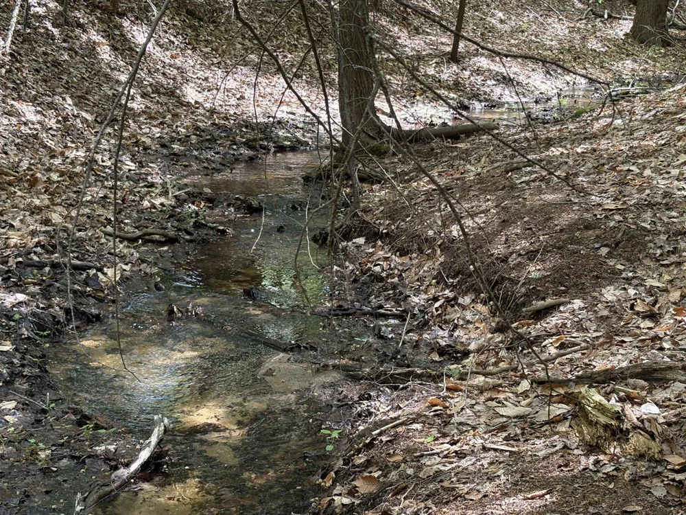 13631 S Beaver Pond Road Empire Township, MI 49630