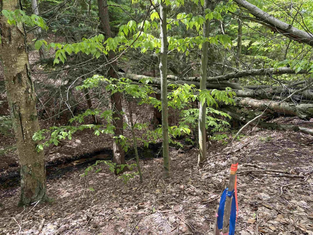 13631 S Beaver Pond Road Empire Township, MI 49630