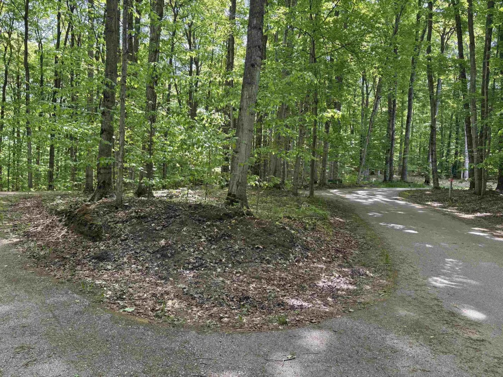 13631 S Beaver Pond Road Empire Township, MI 49630