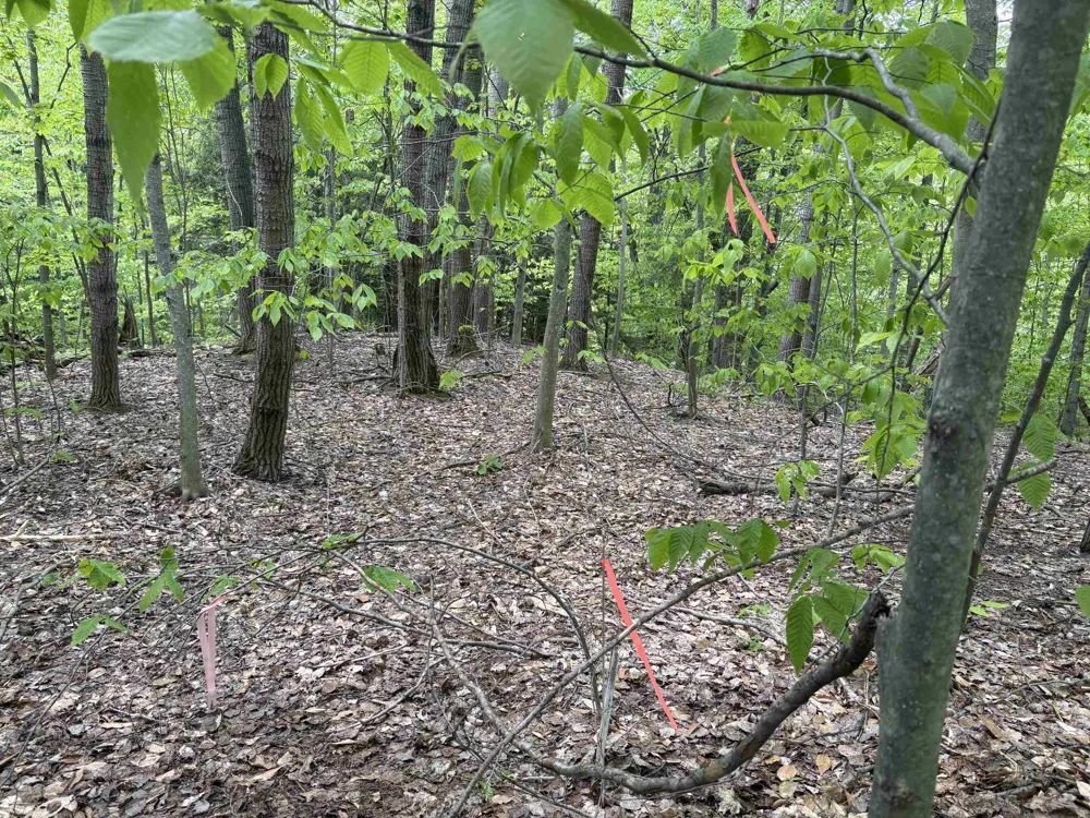13631 S Beaver Pond Road Empire Township, MI 49630