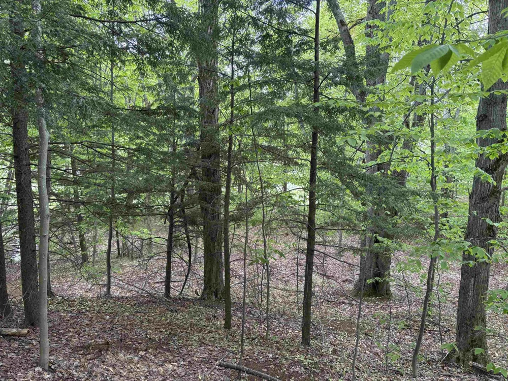 13631 S Beaver Pond Road Empire Township, MI 49630