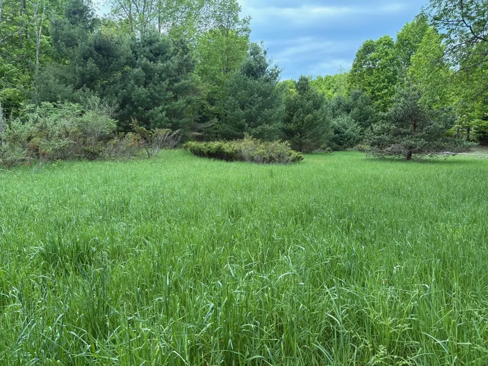 13631 S Beaver Pond Road Empire Township, MI 49630