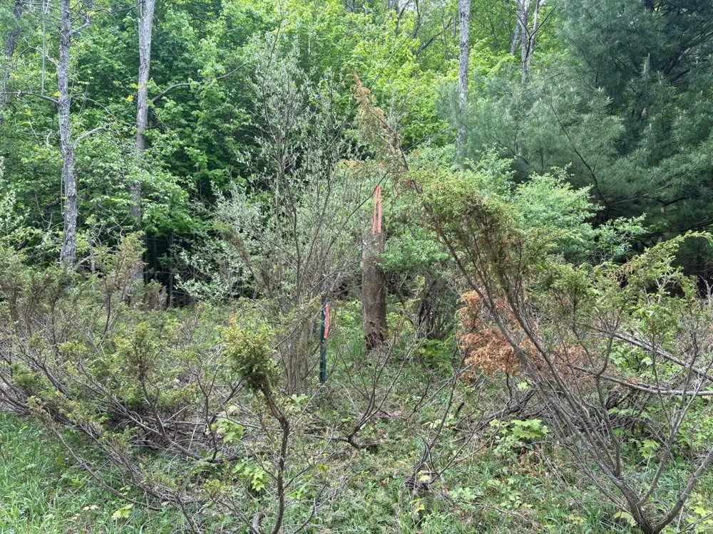 13631 S Beaver Pond Road Empire Township, MI 49630