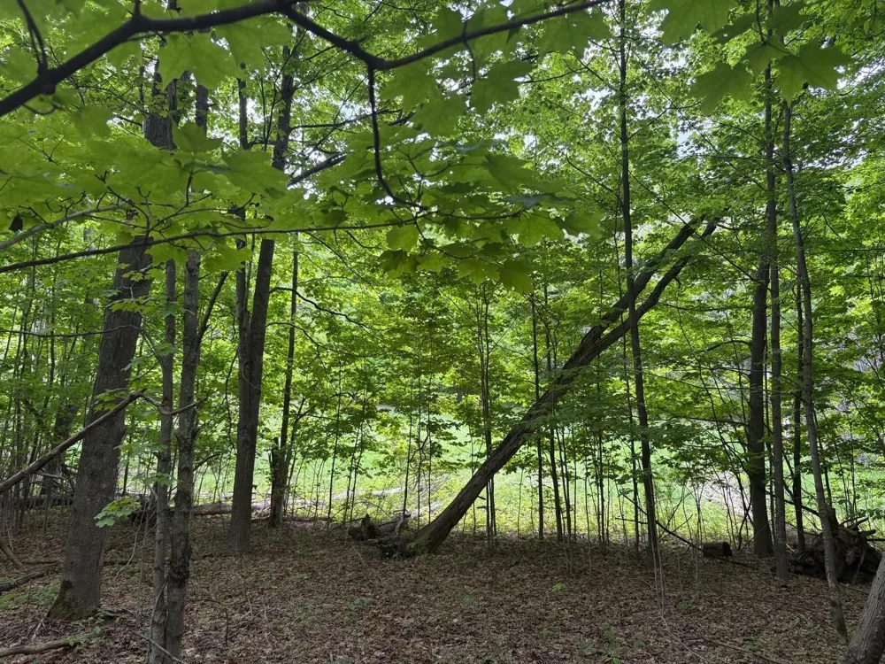 13631 S Beaver Pond Road Empire Township, MI 49630