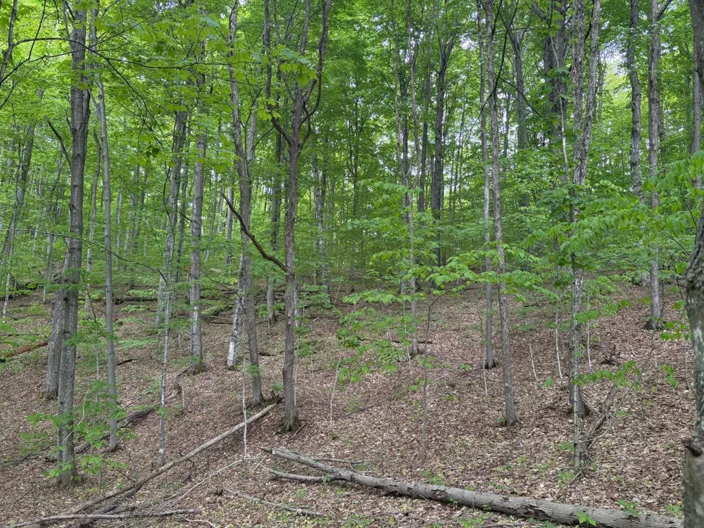 13631 S Beaver Pond Road Empire Township, MI 49630