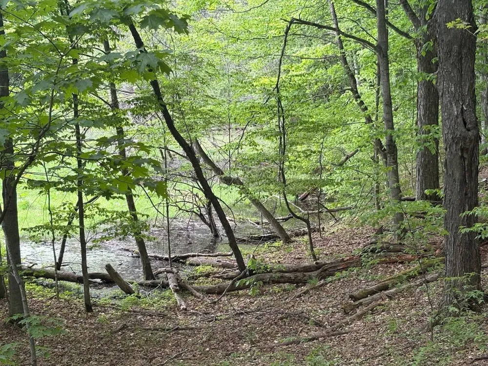 13631 S Beaver Pond Road Empire Township, MI 49630