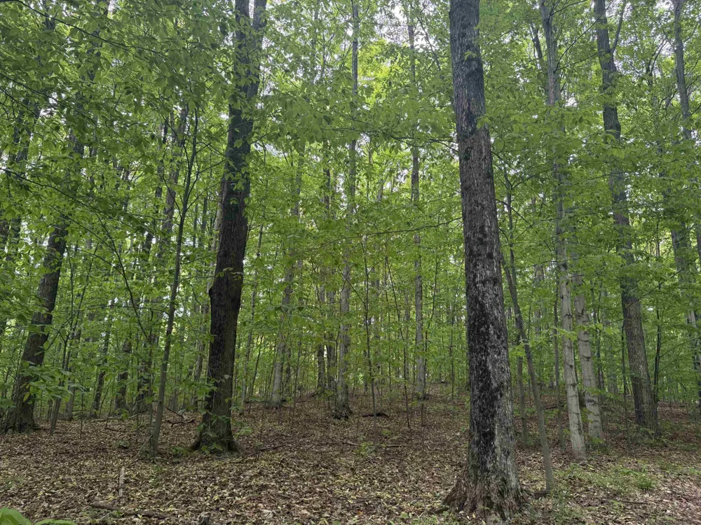 13631 S Beaver Pond Road Empire Township, MI 49630