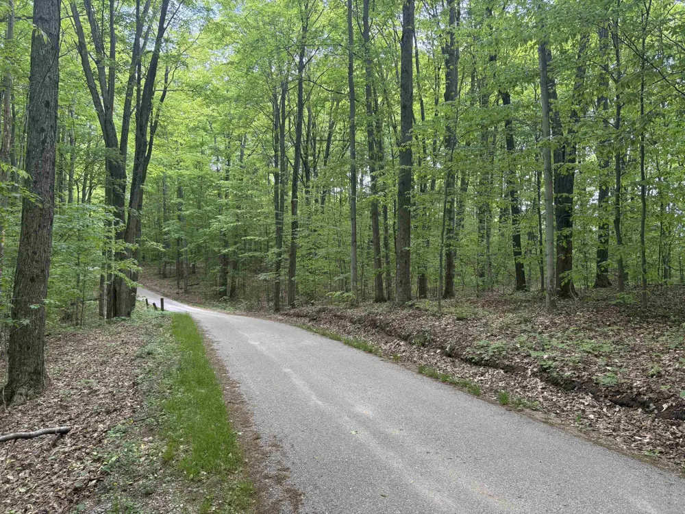 13631 S Beaver Pond Road Empire Township, MI 49630