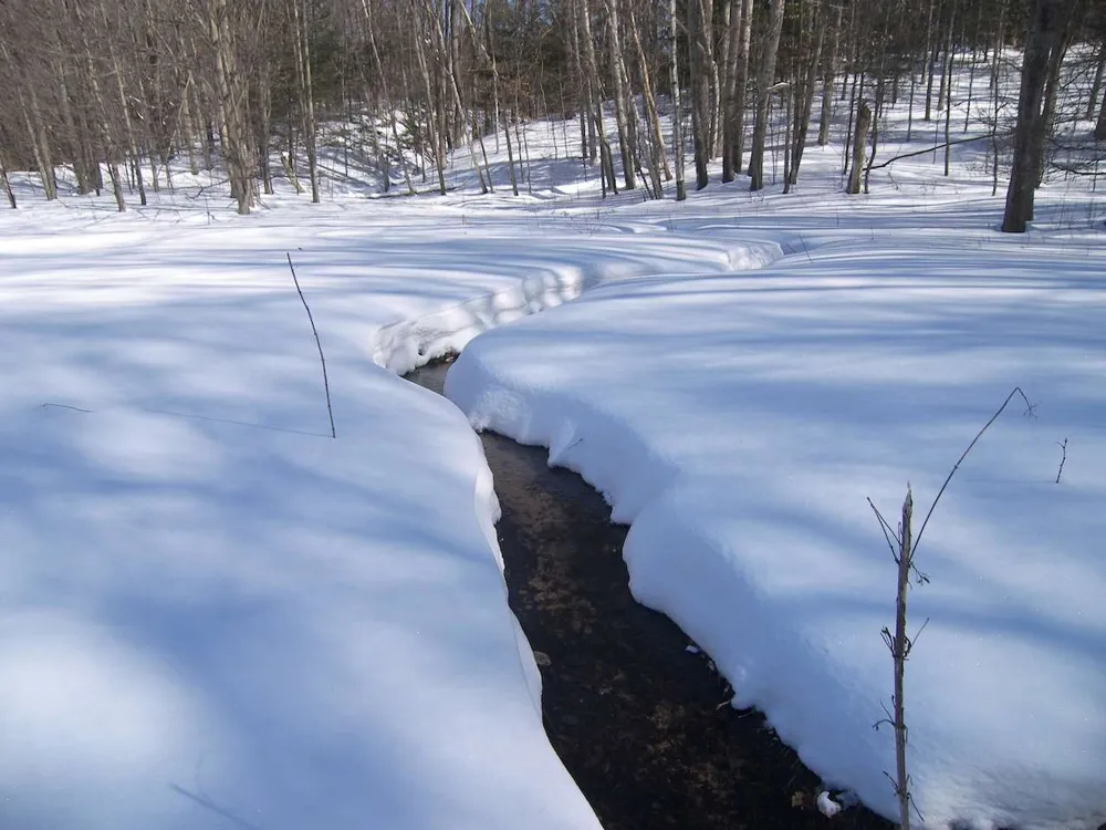 13631 S Beaver Pond Road Empire Township, MI 49630