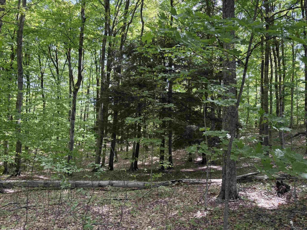 13631 S Beaver Pond Road Empire Township, MI 49630