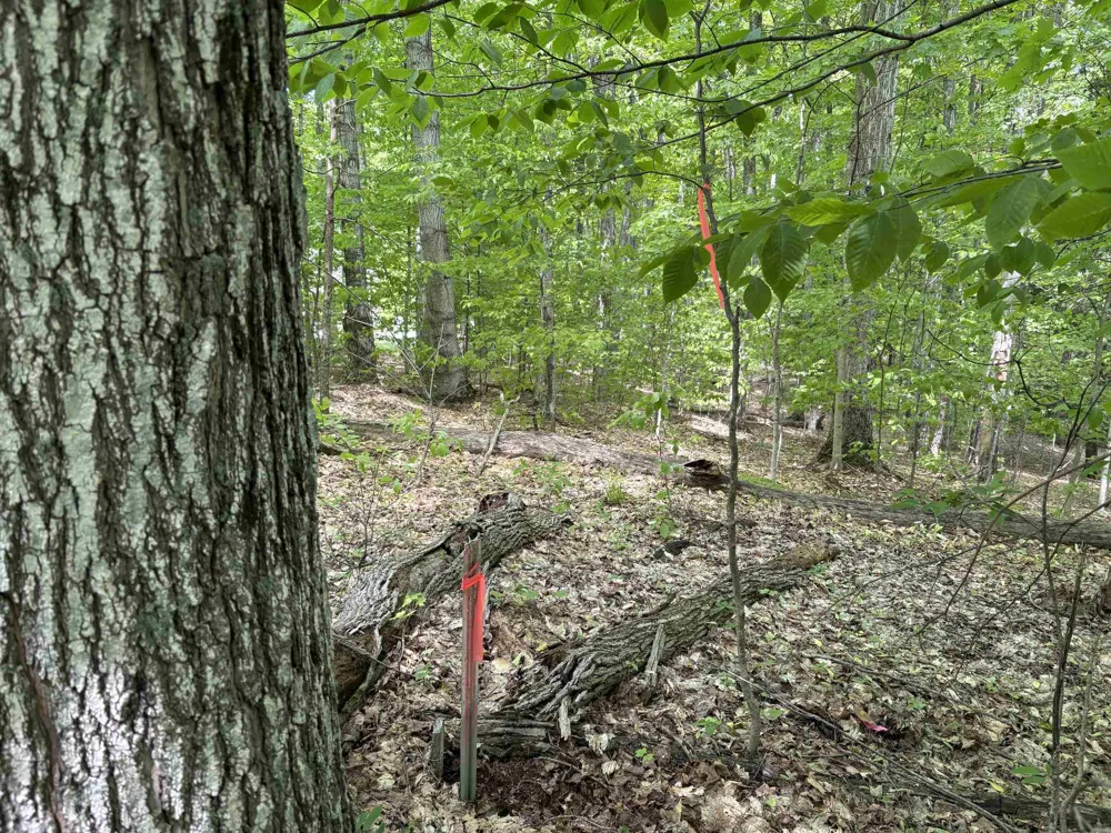 13631 S Beaver Pond Road Empire Township, MI 49630